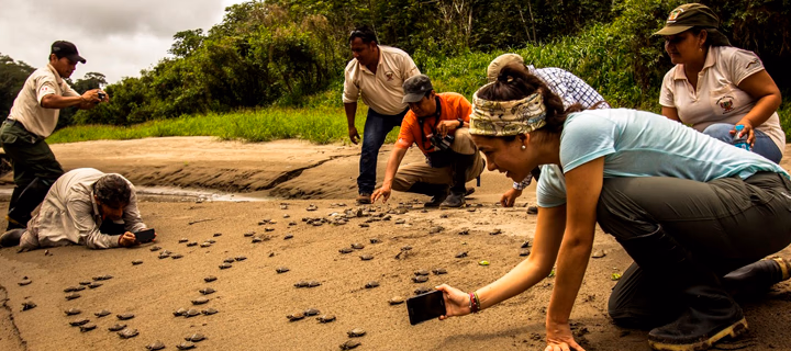 Tours Pacaya Samiria (8D/7N) - Desde Tarapoto