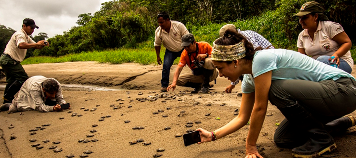 Pacaya Samiria (8D/7N) - Desde Tarapoto.