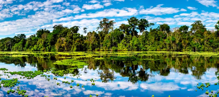Expedición Pacaya Samiria (5D/4N) - Desde Iquitos.