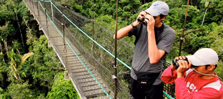 Aventura Extrema (Puentes Colgantes).